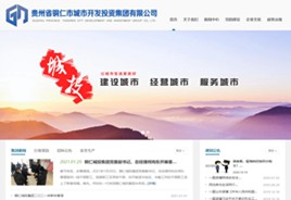 宝山城市开发投资集团有限公司